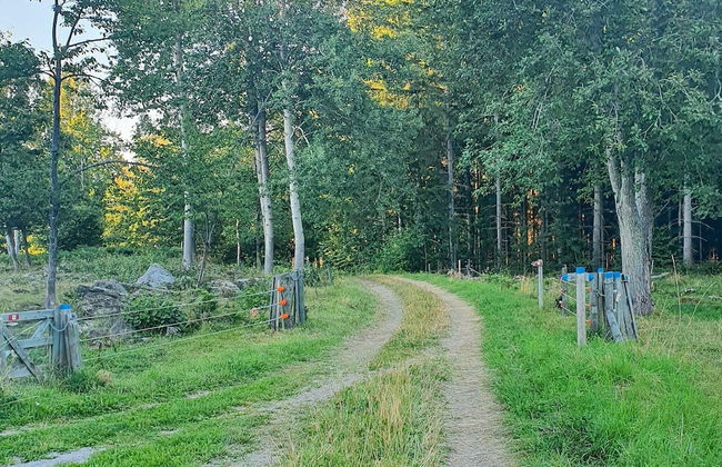 5 Person Holiday Home in Hallekis - Photo 25