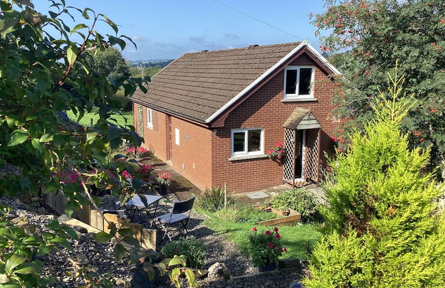 Lovely 2-bed Cottage in Pencarreg - Photo 14