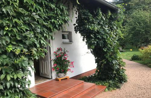 Großzügige Ferienwohnung am Waldesrand im Seenland - Foto 19