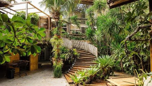 Morro da Luz - Ypê GreenHouse - Foto 2