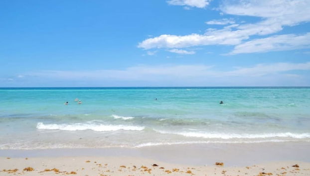 Beach Life in Hollywood - Foto 4, Habitación