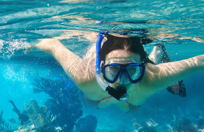 Snorkeling à Mirissa - Photo 6