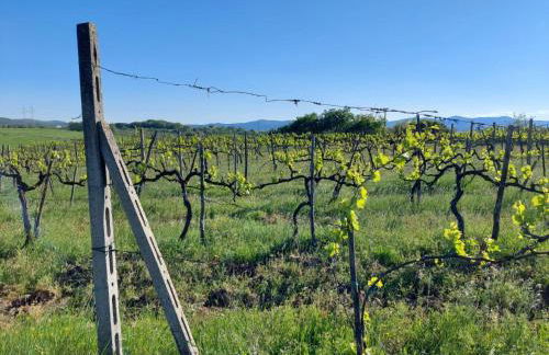 Apartment Flache Linde by Interhome - Foto 48