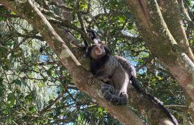 Pedacinho do Céu - Foto 12