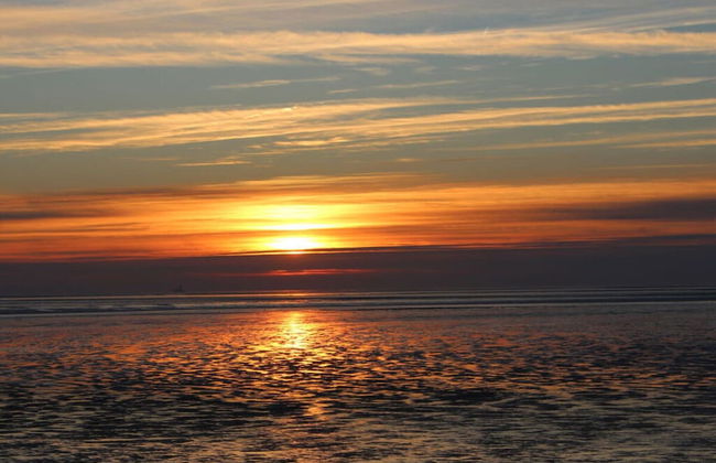 Elke Luthje Modern Retreat - Foto 22