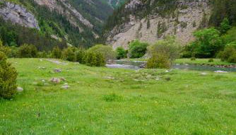 Apartamentos Casa Español - Foto 5