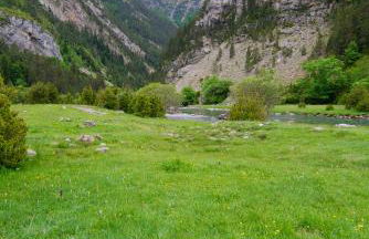 Apartamentos Casa Español - Foto 5