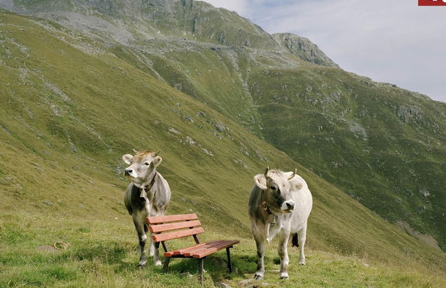 Urbane Apartment in Kirchdorf in Tyrol near Ski Area - Foto 21