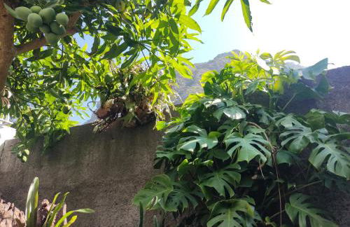 Peaceful place in São Vicente - Foto 36