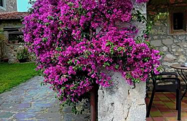 Gran Pedroso de Llanes - Foto 36