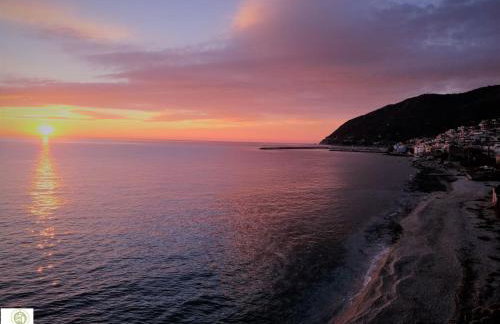 Frini Studios - Photo 5