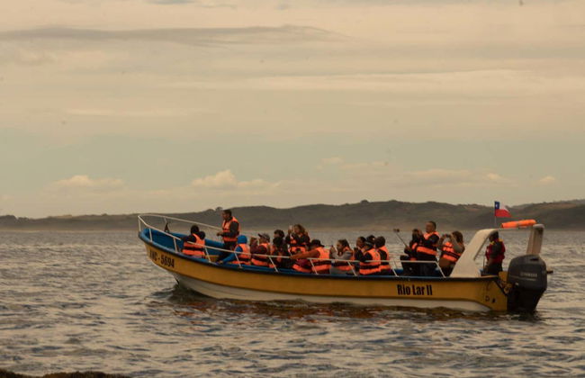 Chacao, Ancud et les plages de Chiloé - Photo 3