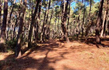 Villa Messanges (piscine & spa) - Photo 23