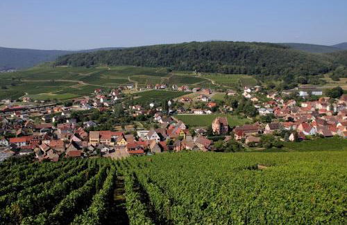 LA TÊTE AU SOLEIL - Foto 15