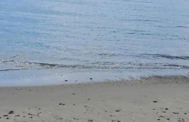 La Rosa dei Venti - Foto 45