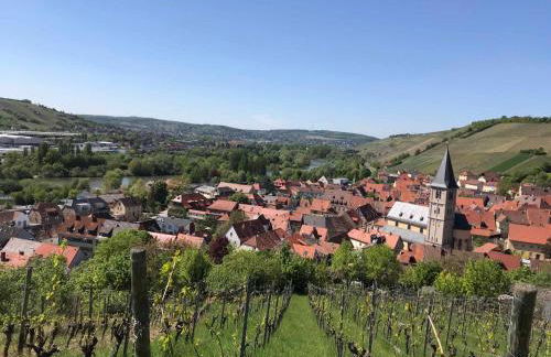 Ferienwohnung am Weinberg - Foto 8