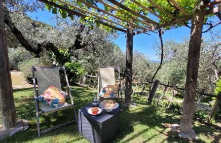 Agriturismo Villa Carducci - Foto 28