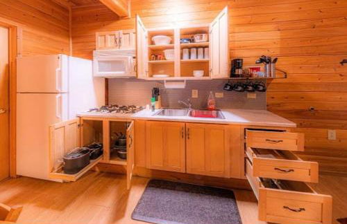 Cabin #1 Buffalo Herd -Pet Friendly - Sleeps 6 - Playground & Game Room - Foto 5