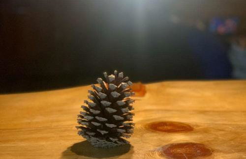 CHALÉ ESTÂNCIA OURO VERDE - Photo 71