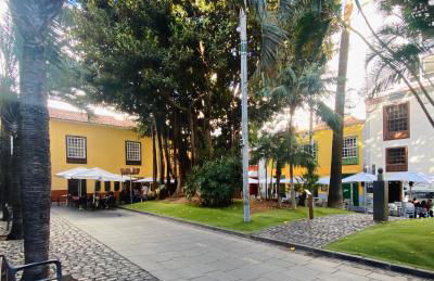 Macaronesia Home - Foto 14