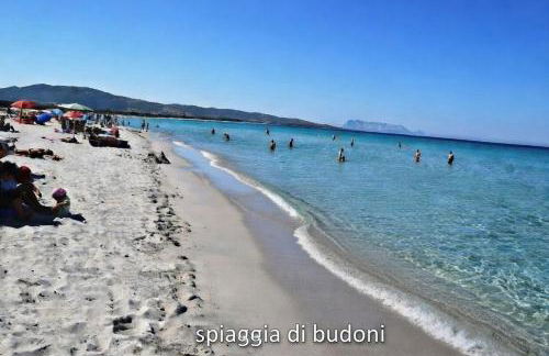 Casa vacanze in budoni San lorenzo - Photo 4