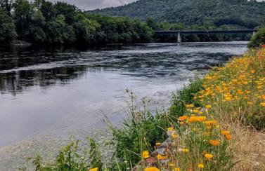 Superbe duplex les belles Rives Argentat bords Dordogne avec wifi - Foto 71