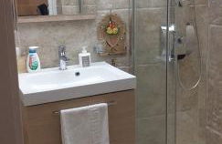 Le camelie - Foto 62