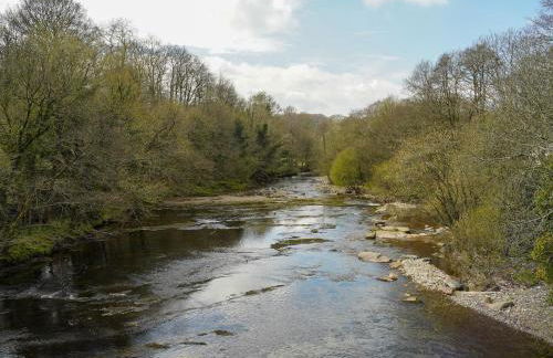 Nelson Cottage - Foto 12