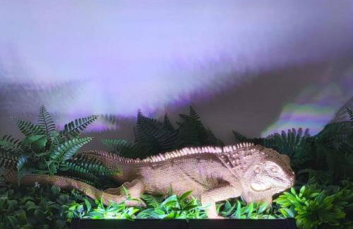 GRYT Home - FeWo XXL - Nähe Nordsee - Foto 46