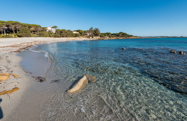 Cala Viola - Foto 19