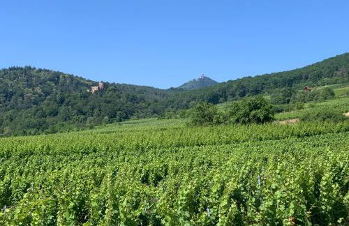 BONNE IDEE - Suite GEORGES - Meublé de tourisme 4 étoiles - Foto 48