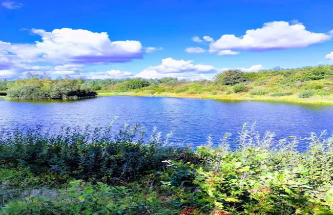 4 Person Holiday Home in Toftlund - Foto 33