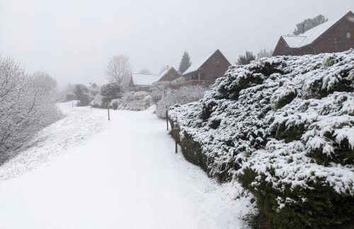 Perce-neige - Foto 27