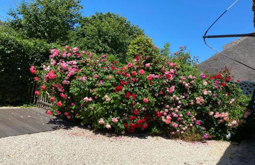 Föhrienhaus - Foto 53