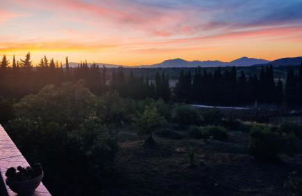 Finca Vista El Montanes - Photo 41