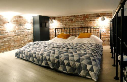 Lividus Czarna Mewa - Foto 5