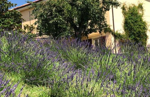 Cascina Vicentini - Foto 37