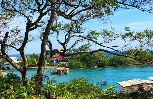 Houseboat Cruise & Snorkel Tour - Photo 7