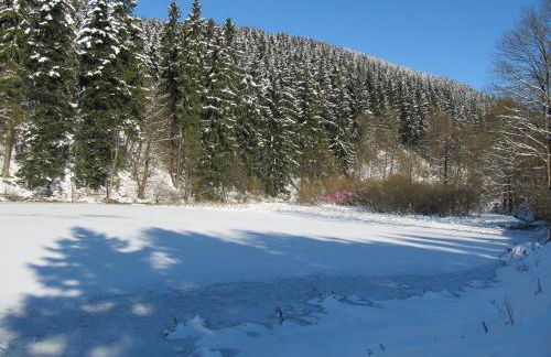 Hexenstieg House Lerbach - Foto 14