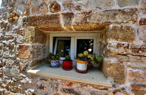 Trulli delle succulente - Foto 38