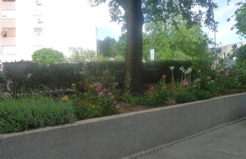 Klara Studio Apartman - Foto 35