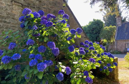 Gîtes du Gohic - Le Cidre - Foto 32