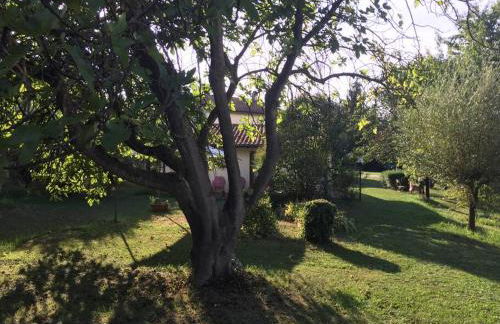 Chalet La Sequoia Orte - Foto 22