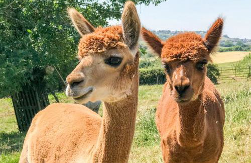 The Granary - Photo 42