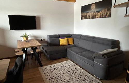 Agroturystyka Nadwarciańskie Siedlisko - Foto 14