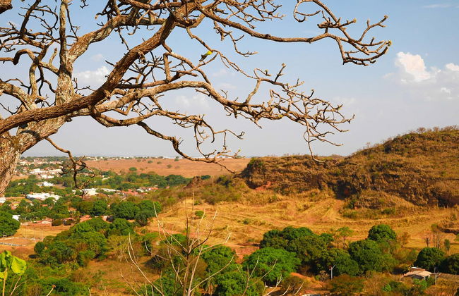 Isla del Bananal y Parque del Cantão en 3 días - Foto 6