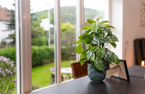 Boutique Studio im Herzen TBBs - Foto 7