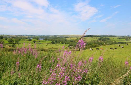 The Ivy Barn - Photo 33