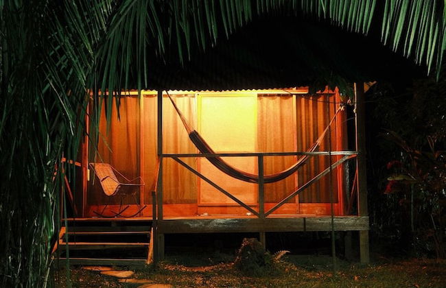 Tronco Tambopata Adventure - Photo 16