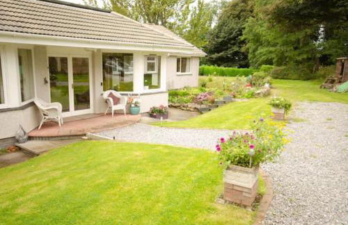 Home Comforts in Peaceful 2 Acres - Photo 53